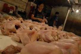 Harga Daging Ayam Ras di Balikpapan Naik